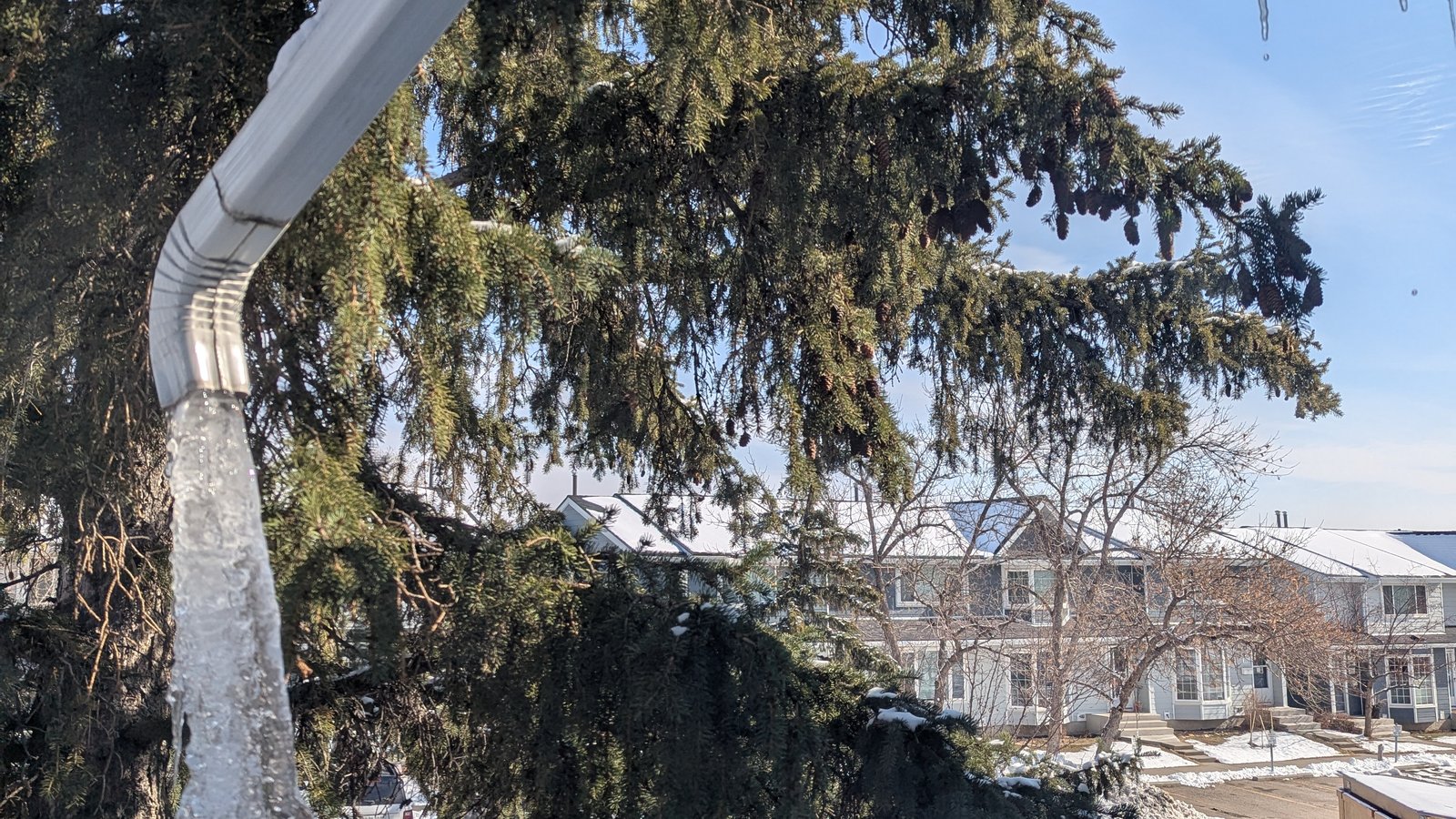 Gros glaçon qui sort d'une descente de gouttière sous un débord de toit en hiver